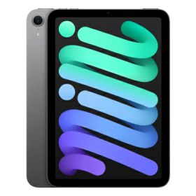 【第7世代】iPad mini7 Wi-Fi 128GB スペースグレイ MXN63J/A A2993 Apple 当社3ヶ月間保証 中古 イオシス