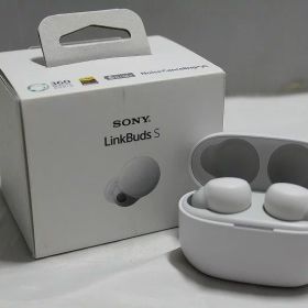 【期間限定セール】ソニー SONY ワイヤレスイヤホン 2022年製 WF-LS900N 【中古】