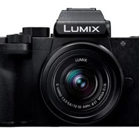 パナソニック LUMIX DC-G100DK レンズキット ミラーレス一眼カメラ[ラッピング可] R-LOGI