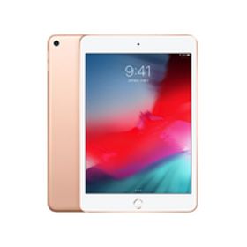 Cランク iPad mini 第5世代 64GB ゴールド Wi-Fi