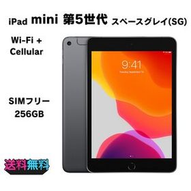 【動作確認・初期化済み】美品 SIMフリー Apple iPad mini 第5世代 256GB スペースグレイ