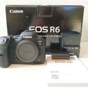 【極美品】キヤノン EOS R6ボディ カバー付 11,000シャッター以下