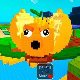 レモン11.3kg | ロブロックス(ROBLOX)のアカウントデータ、RMTの販売・買取一覧