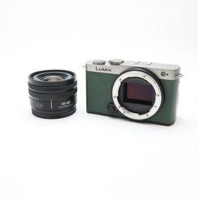 《美品》Panasonic LUMIX S9 広角ズームレンズキット DC-S9N-S エクステリア張替済み