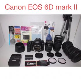 キヤノン(Canon)のキャノンCanon EOS 6D mark II 標準&望遠ダブルレンズセット(デジタル一眼)