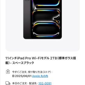 【未使用品】iPad Pro 11インチ Wi-Fi 2TB 標準ガラス搭載 M4 2024年モデル