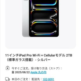 【未使用】iPad Pro 11インチ M4 Wi-Fi ＋ Cellular 2TB 標準ガラス搭載 ブラック 2024年モデル