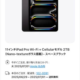 【開封済未使用品】iPad Pro 11インチ M4 Wi-Fi ＋ Cellular 2TB Nano-Textureガラス 2024年モデル