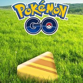 るるるさま専用 | ポケモンGOの代行、RMTの販売・買取一覧