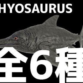 RARE SUPPORT イクチオサウルス全6種11/25更新 | ARK Survival Evolvedのアカウントデータ、RMTの販売・買取一覧