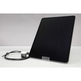 [美品｜動作保証] Apple iPad Pro 12.9インチ 第5世代 Wi-Fi 256GB 2021 MHNH3J/A スペースグレイ