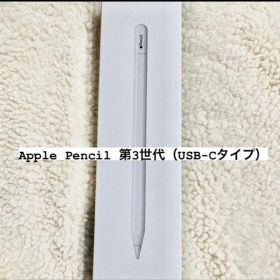 ApplePencil 【MUWA3ZA/A】USB-Cタイプ 本体 純正