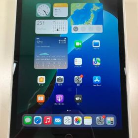 iPad 第9世代 256GB グレー セルラー 中古品 カバーガラス付