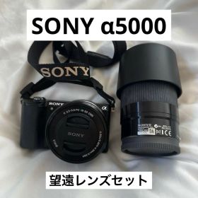 SONY α5000 ミラーレス SEL55210 交換レンズ セット