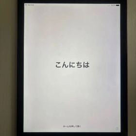 Apple iPad Air 本体