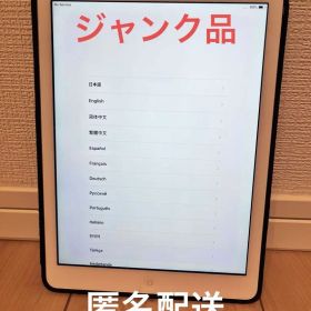 格安 iPadAir第1世代