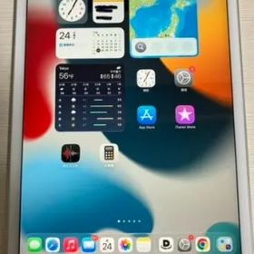 iPad mini 第5世代 Wi-Fi+セルラーモデル 64GB 動作確認済