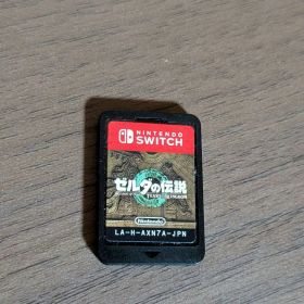 ゼルダの伝説 ティアーズ オブ ザ キングダム ソフトのみ