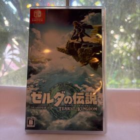 ゼルダの伝説 ティアーズ オブ ザ キングダム
