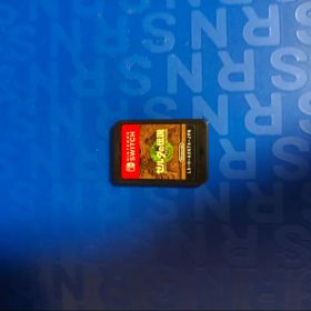 ゼルダの伝説 ティアーズ オブ ザ キングダム