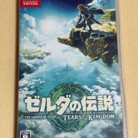 ゼルダの伝説 ティアーズ オブ ザ キングダム