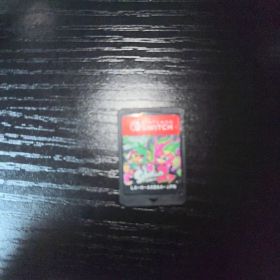 スプラトゥーン2 ニンテンドースイッチカセット
