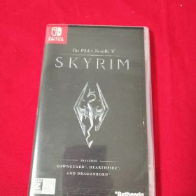 ★The Elder Scrolls V: Skyrim Switch版