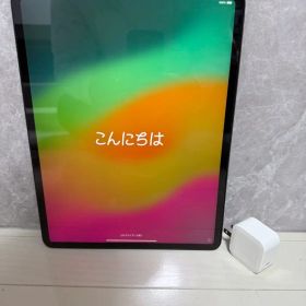 早い者勝ち！Apple iPad Pro 12.9インチ 256GB 第四世代