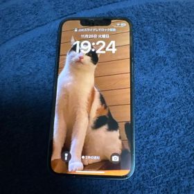 Apple iPhone 13Mini Simフリー バッテリー77% ブラック