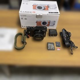 LUMIX G DC-GF10/90 ブラックボディ