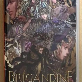 ブリガンダイン ルーナジア戦記 ニンテンドースイッチ 動作確認済①