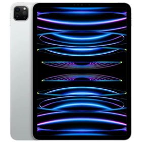 【国内正規品】APPLE（アップル）iPad Pro 11インチ Wi-Fi 1TB MNXL3J/A シルバー第4世代 Wi-Fi 1TB 2022年モデル[4549995347449]