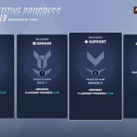 ✅ S19 丨 ゴールド DPSゴールドタンク丨ブロンズサポート丨