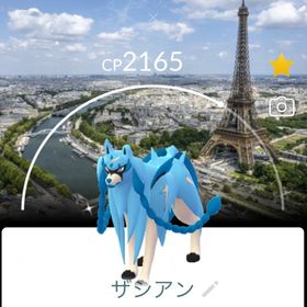 【あい様専用】 | ポケモンGOのアカウントデータ、RMTの販売・買取一覧