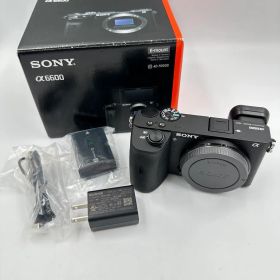 SONY ソニー α6600 ボディ カメラ
