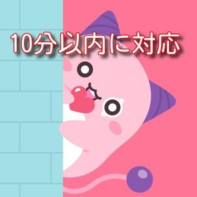 かえで鯖 メル 29g（1g=1000円） | メイプルストーリーのアカウントデータ、RMTの販売・買取一覧