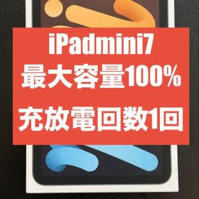 iPad mini (第7世代) A17 Pro 128GB Wi-Fi