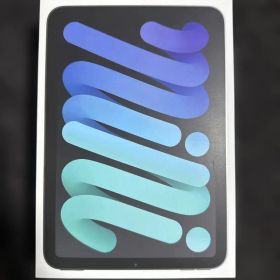 iPad mini 7 Wi-Fi 256GB スペースグレイ第7世代