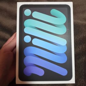 iPad mini 第7世代 (A17 Pro) 512GB Wi-Fi