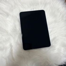 Apple iPad mini パープル本体