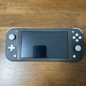 Nintendo Switch Lite たぶん グレー 簡易ケース付き