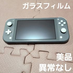 Nintendo Switch Lite グレー 5057
