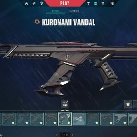 🌸初期メアド譲渡可能課金額28万 レディアント🌸 | VALORANT(ヴァロラント)のアカウントデータ、RMTの販売・買取一覧