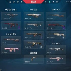 総課金額30万引退垢 championsスキンほぼ購入済 | VALORANT(ヴァロラント)のアカウントデータ、RMTの販売・買取一覧