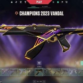 大阪の狂犬様用 champion 2023 2024 2025アカウント | VALORANT(ヴァロラント)のアカウントデータ、RMTの販売・買取一覧