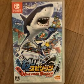 Switch版釣りスピリッツのソフトとケース
