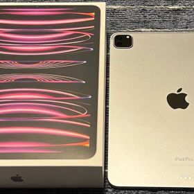 iPad Pro 11インチWiFiモデル 第4世代256GB スペースグレイ