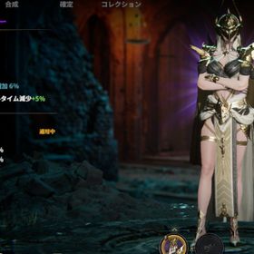 引退垢 戦力52000 弓75 パラディン510 ダークランサー500 | ロードナインのアカウントデータ、RMTの販売・買取一覧