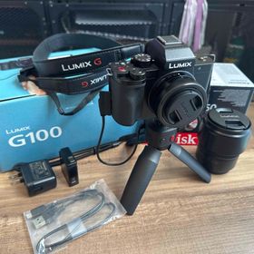Panasonic パナソニック LUMIX DC-G100V レンズSDオマケ(ミラーレス一眼)