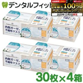 内側ガーゼの不織布マスク (ホワイト) 4箱セット(30枚/箱) ガーゼ マスク 不織布 不織布マスク 【送料無料】